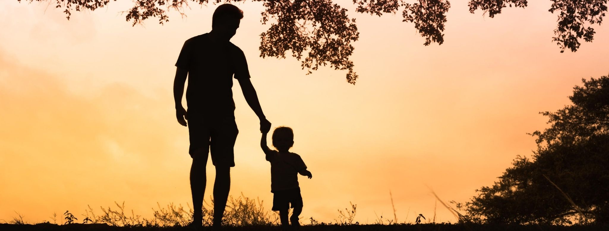 Autorizada cassação de direito de visitas dos pais envolvidos em situação de maus tratos